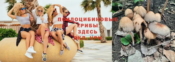 винт Верхний Тагил
