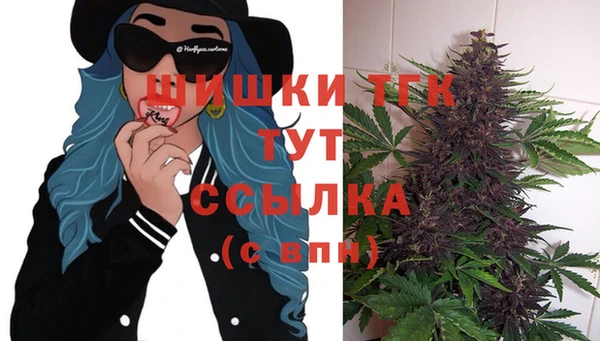 винт Верхний Тагил