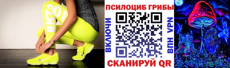 Псилоцибиновые грибы Psilocybine cubensis  Ростов 